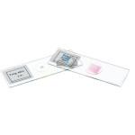 Plant Tissue Slide